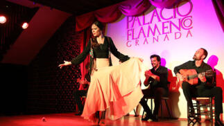 Espectáculo en Palacio Flamenco